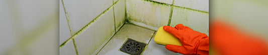 Best Ways To Remove Mould From Bathroom Tiles And Grout