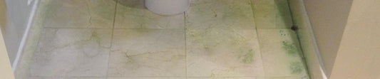 How to Prevent and Remove Mould Growth on Tile and Grout?